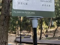 -大京沙滩