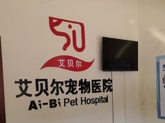 -艾贝尔宠物医院 ·内科全科(梁溪路店)