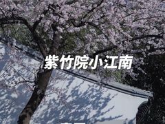 -北京艺术博物馆(万寿寺)