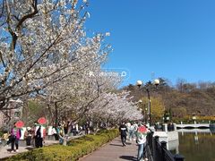 -大连植物园