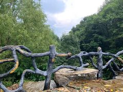 -洛阳白云山景区