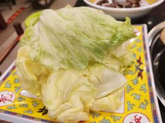 -芦月轩羊蝎子(北蜂窝店)