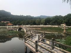 -红山村