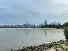 -深圳湾公园(南山区)