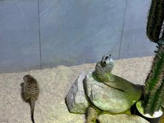 -海合安青岛极地海洋公园