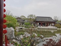 -上海滨江森林公园
