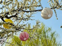 -春风习习
