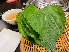 -韩屋韩国料理(天山路店)