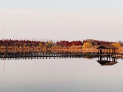 -溱湖国家湿地公园