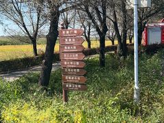 -北纬44度·金珠花海休闲农业旅游景区