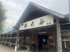 -宁波浙东大竹海景区