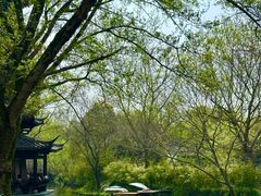 -西溪国家湿地公园