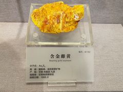 -湖南省地质博物馆