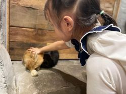 -Zoolung Zoolung动物主题公园(海信广场店)