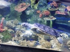 -泉州海丝野生动物世界