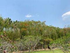-中国科学院西双版纳热带植物园