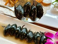 -美未居·老字号·地道顺德菜·桑拿鸡·鱼生(容桂店)