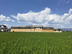 -喜林苑·稻田餐厅(品相府店)