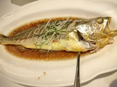 肉饼蒸大黄鱼-上海小南国(世博源店)