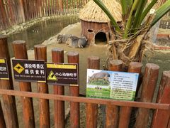 -呀路古热带植物园