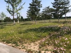 -汉长安城未央宫国家考古遗址公园