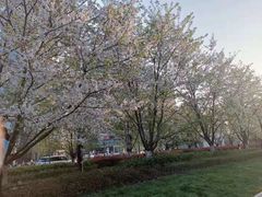 -新天地活力PARK