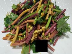 香麻野蕨菜-九十九顶毡房(阜石路店)