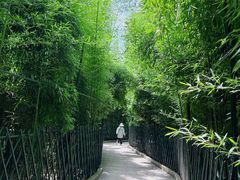 -红螺寺
