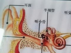 -自然之声助听器·呼吸机(贵定店)