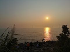 -宝安西湾红树林湿地公园