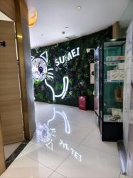 -素美医疗美容·西南眼鼻整形·修复基地