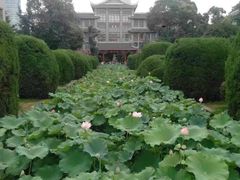 -四川大学(华西校区)