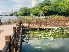 -南宁南湖公园