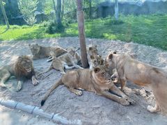 -北京野生动物园