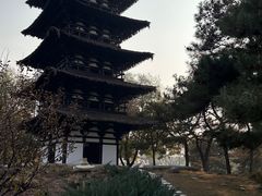 -北京世界公园