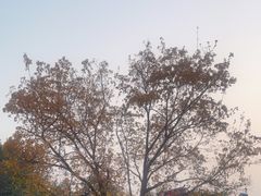-北京欢乐谷