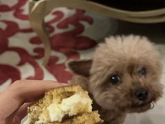 -泽田本家·铜锣烧(环贸店)