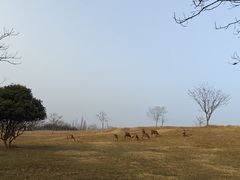 -良渚文化村