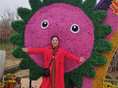 -武汉紫薇都市田园