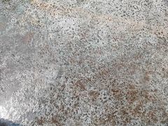 -哈尔滨热雪奇迹