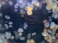 -威海国际海水浴场旅游区