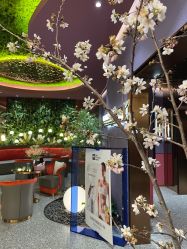 -花隐·美芙炫海菲秀皮肤管理中心