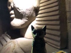 -秃鹫湾·推理大师沉浸式实景演绎推理剧场