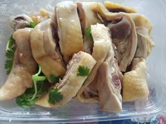 -九斤黄三黄鸡专卖店