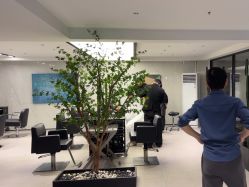 -付军剪艺JF ProSalon