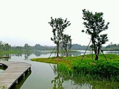 -白鹭湾湿地公园