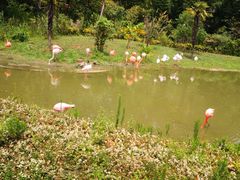 -杭州野生动物世界