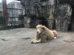 -南昌动物园