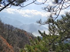 -西安祥峪森林公园