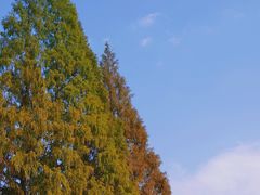 -宁波市保国寺古建筑博物馆